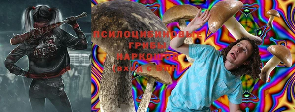 хмурый Алзамай