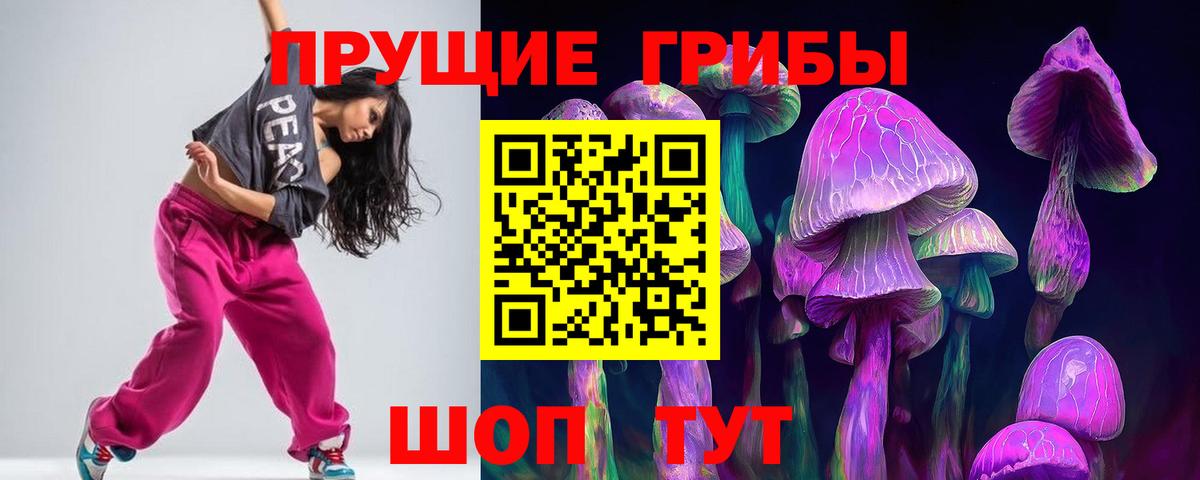 Галлюциногенные грибы Psilocybine cubensis  Псилоцибиновые грибы ЛСД  Волхов  Вход с VPN 